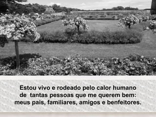 Estou vivo e rodeado pelo calor humano
de tantas pessoas que me querem bem:
meus pais, familiares, amigos e benfeitores.
 