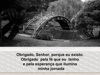 Obrigado, Senhor, porque eu existo.
Obrigado pela fé que eu tenho
e pela esperança que ilumina
minha jornada
 