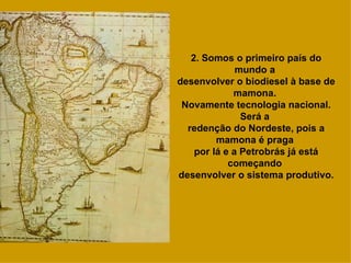 2. Somos o primeiro país do mundo a  desenvolver o biodiesel à base de mamona.  Novamente tecnologia nacional. Será a  redenção do Nordeste, pois a mamona é praga  por lá e a Petrobrás já está começando  desenvolver o sistema produtivo. 