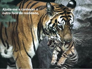 Ajuda-me a conhecer a outra face da realidade,  