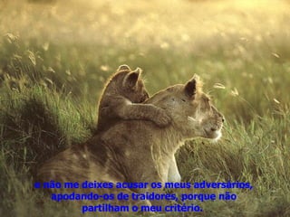 e não me deixes acusar os meus adversários, apodando-os de traidores, porque não partilham o meu critério.  