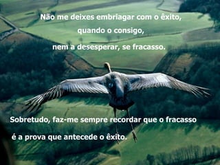 Não me deixes embriagar com o êxito, quando o consigo,  nem a desesperar, se fracasso.  Sobretudo, faz-me sempre recordar que o fracasso é a prova que antecede o êxito. 