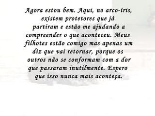 Agora estou bem. Aqui, no arco-íris, existem protetores que já  partiram e estão me ajudando a compreender o que aconteceu. Meus  filhotes estão comigo mas apenas um diz que vai retornar, porque os  outros não se conformam com a dor que passaram inutilmente. Espero  que isso nunca mais aconteça. 
