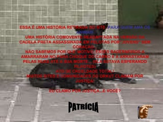 ESSA É UMA HISTÓRIA RETIRADA DO SITE : PARA QUEM AMA OS ANIMAIS UMA HISTÓRIA COMOVENTE READAPTADA NA VERSÃO DA CADELA PRETA ASSASSINADA EM PELOTAS POR”JOVENS” SEM CORAÇÃO... NÃO SABEMOS POR QUE MOTIVO, ESSES BADERNEIROS A AMARRARAM NO PÁRA CHOQUE DO CARRO E A ARRASTARAM PELAS RUAS ATÉ A SUA MORTE... (ELA ESTAVA ESPERANDO FILHOTES) ATO DE CRUELDADE TOTAL! MUITOS SITES E COMUNIDADES DO ORKUT CLAMAM POR JUSTIÇA! EU CLAMO POR JUSTIÇA...E VOCÊ? PATRÍCIA 