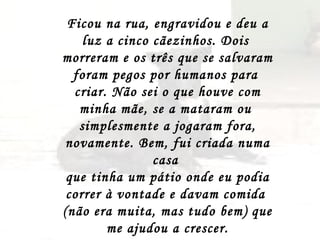 Ficou na rua, engravidou e deu a luz a cinco cãezinhos. Dois  morreram e os três que se salvaram foram pegos por humanos para  criar. Não sei o que houve com minha mãe, se a mataram ou  simplesmente a jogaram fora, novamente. Bem, fui criada numa casa  que tinha um pátio onde eu podia correr à vontade e davam comida  (não era muita, mas tudo bem) que me ajudou a crescer. 