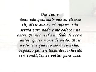 Um dia, o  dono não quis mais que eu ficasse ali, disse que eu só sujava, não  servia para nada e me colocou no carro. Nunca tinha andado de carro  antes, quase morri de medo. Mais medo tive quando me vi sózinha,  vagando por um local desconhecido sem condições de voltar para casa. 