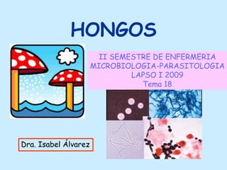 HONGOS
II SEMESTRE DE ENFERMERIA
MICROBIOLOGIA-PARASITOLOGIA
LAPSO I 2009
Tema 18
Dra. Isabel Álvarez
 