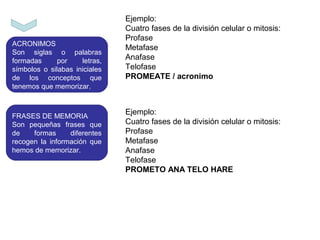 ACRONIMOS
Son siglas o palabras
formadas por letras,
símbolos o silabas iniciales
de los conceptos que
tenemos que memorizar.
Ejemplo:
Cuatro fases de la división celular o mitosis:
Profase
Metafase
Anafase
Telofase
PROMEATE / acronimo
FRASES DE MEMORIA
Son pequeñas frases que
de formas diferentes
recogen la información que
hemos de memorizar.
Ejemplo:
Cuatro fases de la división celular o mitosis:
Profase
Metafase
Anafase
Telofase
PROMETO ANA TELO HARE
 
