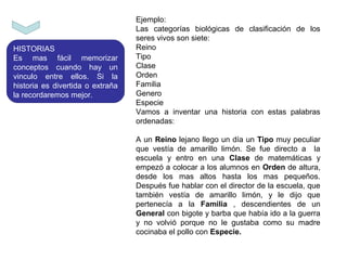 HISTORIAS
Es mas fácil memorizar
conceptos cuando hay un
vinculo entre ellos. Si la
historia es divertida o extraña
la recordaremos mejor.
Ejemplo:
Las categorías biológicas de clasificación de los
seres vivos son siete:
Reino
Tipo
Clase
Orden
Familia
Genero
Especie
Vamos a inventar una historia con estas palabras
ordenadas:
A un Reino lejano llego un día un Tipo muy peculiar
que vestía de amarillo limón. Se fue directo a la
escuela y entro en una Clase de matemáticas y
empezó a colocar a los alumnos en Orden de altura,
desde los mas altos hasta los mas pequeños.
Después fue hablar con el director de la escuela, que
también vestía de amarillo limón, y le dijo que
pertenecía a la Familia , descendientes de un
General con bigote y barba que había ido a la guerra
y no volvió porque no le gustaba como su madre
cocinaba el pollo con Especie.
 