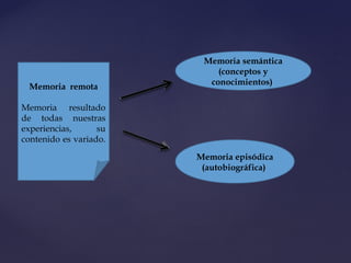 Memoria semántica
(conceptos y
conocimientos)
Memoria remota
Memoria resultado
de todas nuestras
experiencias, su
contenido es variado.
Memoria episódica
(autobiográfica)
 
