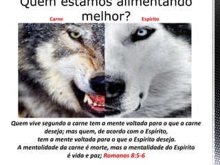 Quem vive segundo a carne tem a mente voltada para o que a carne
deseja; mas quem, de acordo com o Espírito,
tem a mente voltada para o que o Espírito deseja.
A mentalidade da carne é morte, mas a mentalidade do Espírito
é vida e paz; Romanos 8:5-6
Carne Espírito