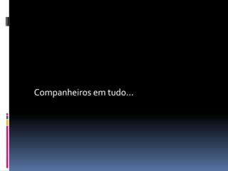 Companheiros em tudo...
 