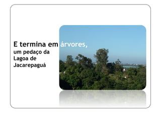E termina em árvores,
um pedaço da
Lagoa de
Jacarepaguá
 