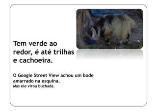 Tem verde ao
redor, é até trilhas
e cachoeira.

O Google Street View achou um bode
amarrado na esquina.
Mas ele virou buchada.
 
