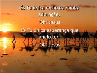 És Tu única razão da minha adoração,  Oh! Jesus És Tu única esperança que anelo ter,  Oh! Jesus 