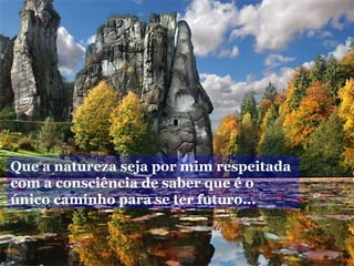 Que a natureza seja por mim respeitada
com a consciência de saber que é o
único caminho para se ter futuro...
 