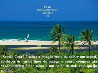 Ser do Ceará é saber a estação certa de colher um sapoti,
conhecer os vários tipos de manga e nunca comprar ata
verde demais; é dar sabor a um baião de dois com queijo
coalho.
 