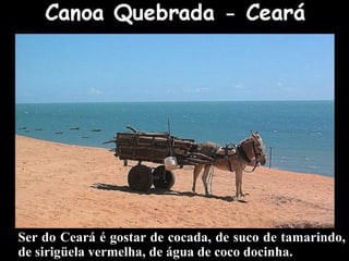 Ser do Ceará é gostar de cocada, de suco de tamarindo,
de sirigüela vermelha, de água de coco docinha.
 