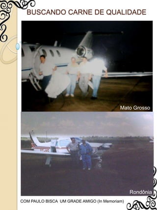 BUSCANDO CARNE DE QUALIDADEMato GrossoRondôniaCOM PAULO BISCA  UM GRADE AMIGO (In Memoriam)