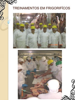 TREINAMENTOS EM FRIGORIFÍCOS