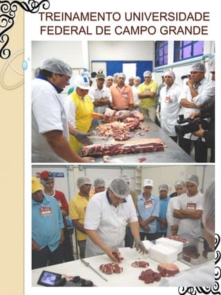 TREINAMENTO UNIVERSIDADE FEDERAL DE CAMPO GRANDE