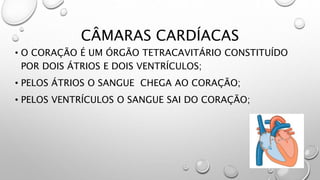 CÂMARAS CARDÍACAS
• O CORAÇÃO É UM ÓRGÃO TETRACAVITÁRIO CONSTITUÍDO
POR DOIS ÁTRIOS E DOIS VENTRÍCULOS;
• PELOS ÁTRIOS O SANGUE CHEGA AO CORAÇÃO;
• PELOS VENTRÍCULOS O SANGUE SAI DO CORAÇÃO;
 