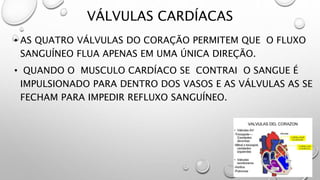 VÁLVULAS CARDÍACAS
• AS QUATRO VÁLVULAS DO CORAÇÃO PERMITEM QUE O FLUXO
SANGUÍNEO FLUA APENAS EM UMA ÚNICA DIREÇÃO.
• QUANDO O MUSCULO CARDÍACO SE CONTRAI O SANGUE É
IMPULSIONADO PARA DENTRO DOS VASOS E AS VÁLVULAS AS SE
FECHAM PARA IMPEDIR REFLUXO SANGUÍNEO.
 