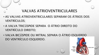VALVAS ATRIOVENTRICULARES
• AS VALVAS ATRIOVENTRICULARES SEPARAM OS ÁTRIOS DOS
VENTRÍCULOS;
• A VALVA TRICÚSPIDE SEPARA O ÁTRIO DIREITO DO
VENTRÍCULO DIREITO;
• VALVA BICÚSPIDE OU MITRAL SEPARA O ÁTRIO ESQUERDO
DO VENTRÍCULO ESQUERDO.
 