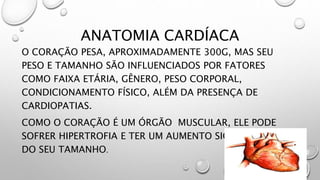 ANATOMIA CARDÍACA
O CORAÇÃO PESA, APROXIMADAMENTE 300G, MAS SEU
PESO E TAMANHO SÃO INFLUENCIADOS POR FATORES
COMO FAIXA ETÁRIA, GÊNERO, PESO CORPORAL,
CONDICIONAMENTO FÍSICO, ALÉM DA PRESENÇA DE
CARDIOPATIAS.
COMO O CORAÇÃO É UM ÓRGÃO MUSCULAR, ELE PODE
SOFRER HIPERTROFIA E TER UM AUMENTO SIGNIFICATIVO
DO SEU TAMANHO.
 