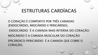 ESTRUTURAS CARDÍACAS
O CORAÇÃO É COMPORTO POR TRÊS CAMADAS
(ENDOCÁRDIO, MIOCÁRDIO E PERICÁRDIO);
ENDOCÁRDIO É A CAMADA MAIS INTERNA DO CORAÇÃO;
MIOCÁRDIO É A CAMADA MUSCULAR DO CORAÇÃO
EPICÁRDICO/PERICÁRDIO É A CAMADA QUE COBRE O
CORAÇÃO.
 