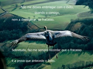 Não me deixes embriagar com o êxito, quando o consigo,  nem a desesperar, se fracasso.  Sobretudo, faz-me sempre recordar que o fracasso é a prova que antecede o êxito. 
