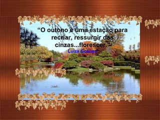 “ O outono é uma estação para recriar, ressurgir das cinzas...florescer." Luiza Gosuen 