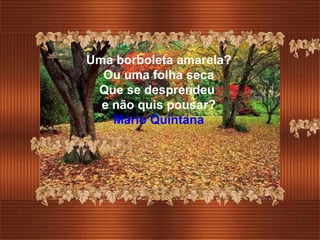 Uma borboleta amarela? Ou uma folha seca Que se desprendeu  e não quis pousar? Mário Quintana 