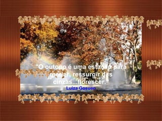 "O outono é uma estação para recriar, ressurgir das cinzas...florescer." Luiza Gosuen 