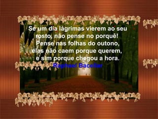 Se um dia lágrimas vierem ao seu rosto, não pense no porquê!  Pense nas folhas do outono,  elas não caem porque querem,  e sim porque chegou a hora. Raphael Bacellar 