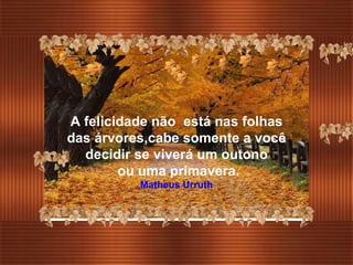 A felicidade não  está nas folhas das árvores,cabe somente a você decidir se viverá um outono ou uma primavera. Matheus Urruth 