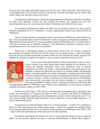 disseram que a tem estado cultivando durante mais de cinco anos. “São coisas raras”, disse Oliveira em
seu português nativo. O conteúdo de nicotina é tão alto que “somente seu cheiro louco te tonteia. Mas
senhor, surge como nada que se havia visto antes”.
Os agricultores estimaram que a metade dos aproximadamente 40 hectares cultivados com tabaco
na região estão dedicadas a folha com alto conteúdo de nicotina. Isso significa que uma área
aproximadamente uma vez e meia maior que a ilha de Manhattan está coberta de fumo louco.
Os agricultores disseram que vendem seu tabaco rico em nicotina a Souza Cruz, uma empresa
brasileira propriedade de B.A.T. Indústrias, o mesmo conglomerado britânico que controla Brown &
Williamson.
Souza Cruz não respondeu as perguntas. O porta-voz de Brown & Williamson, Mark Smith, disse
que “seria inapropriado para os outros comentarem” devido a pesquisas governamentais pendentes. O
Departamento de Justiça do EE.UU. convocou grandes jurados em Washington, D.C. e o estado de Nova
York para investigar sem as indústrias tabageira e seus funcionários mentiram ao governo sobre a
manipulação dos níveis de nicotina em seus produtos.
Depois que os agricultores vendem seu fumo louco a Souza Cruz, ele vai para a planta de
processamento da empresa em Santa Cruz do Sul. Souza Cruz se orgulha de que é a maior do mundo.
Cerca de um terço de tabaco processado na planta é folha com alto conteúdo de nicotina, segundo Luiz
Radaelli, investigador de genética da empresa e vários ex técnico especialistas da Souza Cruz.
Uma vez que a folha entra na planta, é difícil compreender a onde vai. Souza
Cruza o mistura com outros tabacos para formar algumas de suas misturas, e as
receitas são segredos comerciais. Souza Cruz encontra-se entre as maiores
exportadoras de tabaco do mundo, e aproximadamente uma quinta parte de sua
produção se destina aos fabricantes de cigarros nos Estados Unidos. Grã-Bretanha,
Japão e Alemanha também são clientes importantes. A empresa não utiliza folhas
com alto conteúdo de nicotina nos cigarros comercializados no Brasil, mas se negou
a explicar o porquê. A FDA se interessou em 1994 de que Brown & Williamson
havia desenvolvido uma planta rica em nicotina chamada Y-1 e que se haviam
cultivado quantidades limitadas no Brasil no princípio da década de 1990. Parte dela
foi importada por Brown & Williamson, que a utilizou como ingredientes em cinco marcas de cigarros
vendidas nos Estados Unidos em 1993 e 1994.
Embora isso fosse legal, a FDA estava o suficientemente preocupada pelas implicações para
revelar suas descobertas no Congresso em julho de 1994. Os executivos da Brown & Williamson
responderam assegurando a agência que havia abandonado o projeto e haviam deixado de usar Y-1 em
suas suaves Raleigh, Richland Lights King Size, Viceroy King Size, Viceroy Lights King Size e os
cigarros Richland King Size.
Esse parecia ser o final da história. Não o foi. A AP tem previsto: - O cultivo Y-1 começou no
Brasil em 1983, anos antes de que a FDA se desse conta. – Souza Cruz, segundo suas próprias contas,
enviou quase 8 milhões de libras de Y-1 aos Estado Unidos para Brown & Williamson entre 1990 e 1994
– quase o dobro da quantidade que a FDA sabia que havia sido importada.
Os próprios experimentos da Souza Cruz com Y-1 têm produzido centenas de novas cepas de
tabaco rico em nicotina, algumas das quais se cultivam comercialmente no Brasil. Meses depois a
 