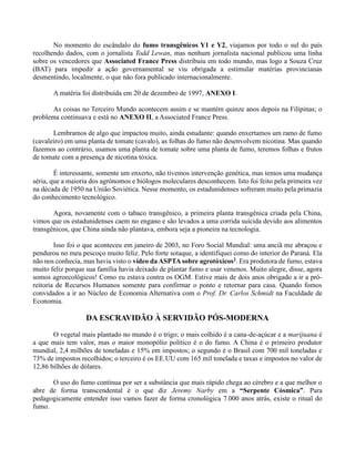 No momento do escândalo do fumo transgênicos Y1 e Y2, viajamos por todo o sul do país
recolhendo dados, com o jornalista Todd Lewan, mas nenhum jornalista nacional publicou uma linha
sobre os vencedores que Associated France Press distribuiu em todo mundo, mas logo a Souza Cruz
(BAT) para impedir a ação governamental se viu obrigada a estimular matérias provincianas
desmentindo, localmente, o que não fora publicado internacionalmente.
A matéria foi distribuída em 20 de dezembro de 1997, ANEXO I.
As coisas no Terceiro Mundo acontecem assim e se mantém quinze anos depois na Filipinas; o
problema continuava e está no ANEXO II, a Associated France Press.
Lembramos de algo que impactou muito, ainda estudante: quando enxertamos um ramo de fumo
(cavaleiro) em uma planta de tomate (cavalo), as folhas do fumo não desenvolvem nicotina. Mas quando
fazemos ao contrário, usamos uma planta de tomate sobre uma planta de fumo, teremos folhas e frutos
de tomate com a presença de nicotina tóxica.
É interessante, somente um enxerto, não tivemos intervenção genética, mas temos uma mudança
séria, que a maioria dos agrônomos e biólogos moleculares desconhecem. Isto foi feito pela primeira vez
na década de 1950 na União Soviética. Nesse momento, os estadunidenses sofreram muito pela primazia
do conhecimento tecnológico.
Agora, novamente com o tabaco transgênico, a primeira planta transgênica criada pela China,
vimos que os estadunidenses caem no engano e são levados a uma corrida suicida devido aos alimentos
transgênicos, que China ainda não plantava, embora seja a pioneira na tecnologia.
Isso foi o que aconteceu em janeiro de 2003, no Foro Social Mundial: uma anciã me abraçou e
pendurou no meu pescoço muito feliz. Pelo forte sotaque, a identifiquei como do interior do Paraná. Ela
não nos conhecia, mas havia visto o vídeo da ASPTA sobre agrotóxicos2. Era produtora de fumo, estava
muito feliz porque sua família havia deixado de plantar fumo e usar venenos. Muito alegre, disse, agora
somos agroecológicos! Como eu estava contra os OGM. Estive mais de dois anos obrigado a ir a pró-
reitoria de Recursos Humanos somente para confirmar o ponto e retornar para casa. Quando fomos
convidados a ir ao Núcleo de Economia Alternativa com o Prof. Dr. Carlos Schmidt na Faculdade de
Economia.
DA ESCRAVIDÃO À SERVIDÃO PÓS-MODERNA
O vegetal mais plantado no mundo é o trigo; o mais colhido é a cana-de-açúcar e a marijuana é
a que mais tem valor, mas o maior monopólio político é o do fumo. A China é o primeiro produtor
mundial, 2,4 milhões de toneladas e 15% em impostos; o segundo é o Brasil com 700 mil toneladas e
73% de impostos recolhidos; o terceiro é os EE.UU com 165 mil tonelada e taxas e impostos no valor de
12,86 bilhões de dólares.
O uso do fumo continua por ser a substância que mais rápido chega ao cérebro e a que melhor o
abre de forma transcendental é o que diz Jeremy Narby em a “Serpente Cósmica”. Para
pedagogicamente entender isso vamos fazer de forma cronológica 7.000 anos atrás, existe o ritual do
fumo.
 