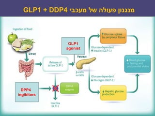 ‫מעכבי‬ ‫של‬ ‫פעולה‬ ‫מנגנון‬4DDP+1GLP
18
DPP4
ingibitors
GLP1
agonist
 