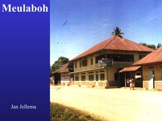 Meulaboh
