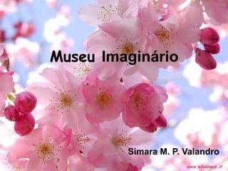 Museu Imaginário Simara M. P. Valandro 