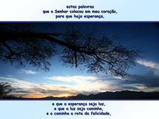 estas palavras
que o Senhor colocou em meu coração,
      para que haja esperança,




    e que a esperança seja luz,
     e que a luz seja caminho,
 e o caminho a rota da felicidade,
 