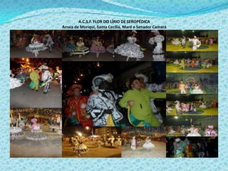 A.C.S.F. FLOR DO LÍRIO DE SEROPÉDICA
Arraia de Muriqui, Santa Cecília, Maré e Senador Camará
 