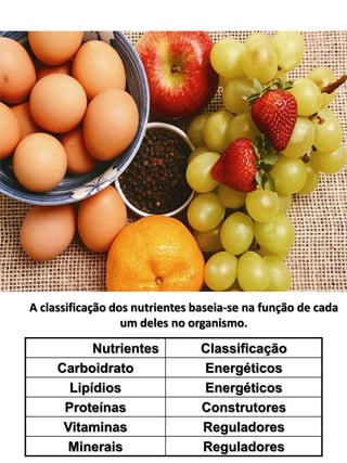 A classificação dos nutrientes baseia-se na função de cada 
um deles no organismo. 
Nutrientes C l assificação 
Carboidrato Energéticos 
Lipídios Energéticos 
Proteínas Construtores 
Vitaminas Reguladores 
Minerais Reguladores 
 