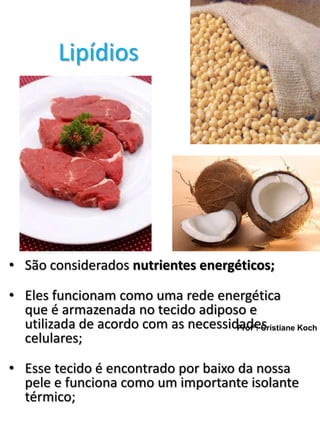 Lipídios 
• São considerados nutrientes energéticos; 
• Eles funcionam como uma rede energética 
que é armazenada no tecido adiposo e 
utilizada de acordo com as necessidades 
celulares; 
Profª: Cristiane Koch 
• Esse tecido é encontrado por baixo da nossa 
pele e funciona como um importante isolante 
térmico; 
 