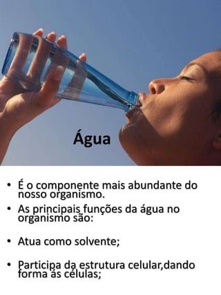 Água 
• É o componente mais abundante do 
nosso organismo. 
• As principais funções da água no 
organismo são: 
• Atua como solvente; 
• Participa da estrutura celular,dando 
forma ás células; 
 