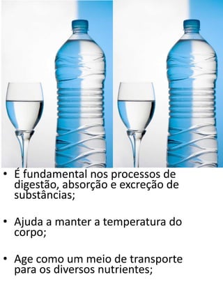 • É fundamental nos processos de 
digestão, absorção e excreção de 
substâncias; 
• Ajuda a manter a temperatura do 
corpo; 
• Age como um meio de transporte 
para os diversos nutrientes; 
 