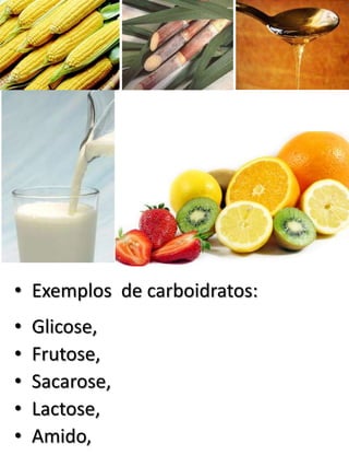 • Exemplos de carboidratos:
• Glicose,
• Frutose,
• Sacarose,
• Lactose,
• Amido,
 