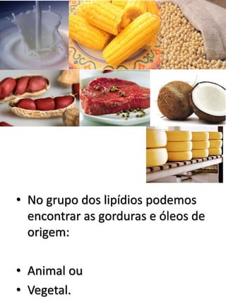 • No grupo dos lipídios podemos
encontrar as gorduras e óleos de
origem:
• Animal ou
• Vegetal.
 