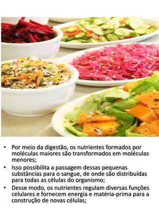 • Por meio da digestão, os nutrientes formados por
moléculas maiores são transformados em moléculas
menores;
• Isso possibilita a passagem dessas pequenas
substâncias para o sangue, de onde são distribuídas
para todas as células do organismo;
• Desse modo, os nutrientes regulam diversas funções
celulares e fornecem energia e matéria-prima para a
construção de novas células;
 